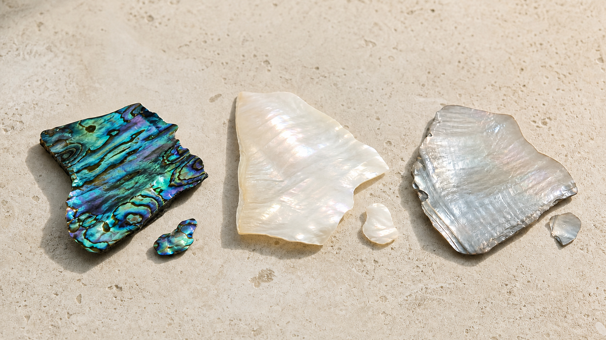 Abalone, white mother of pearl, and grey mother of pearl shell samples arranged on warm stone.