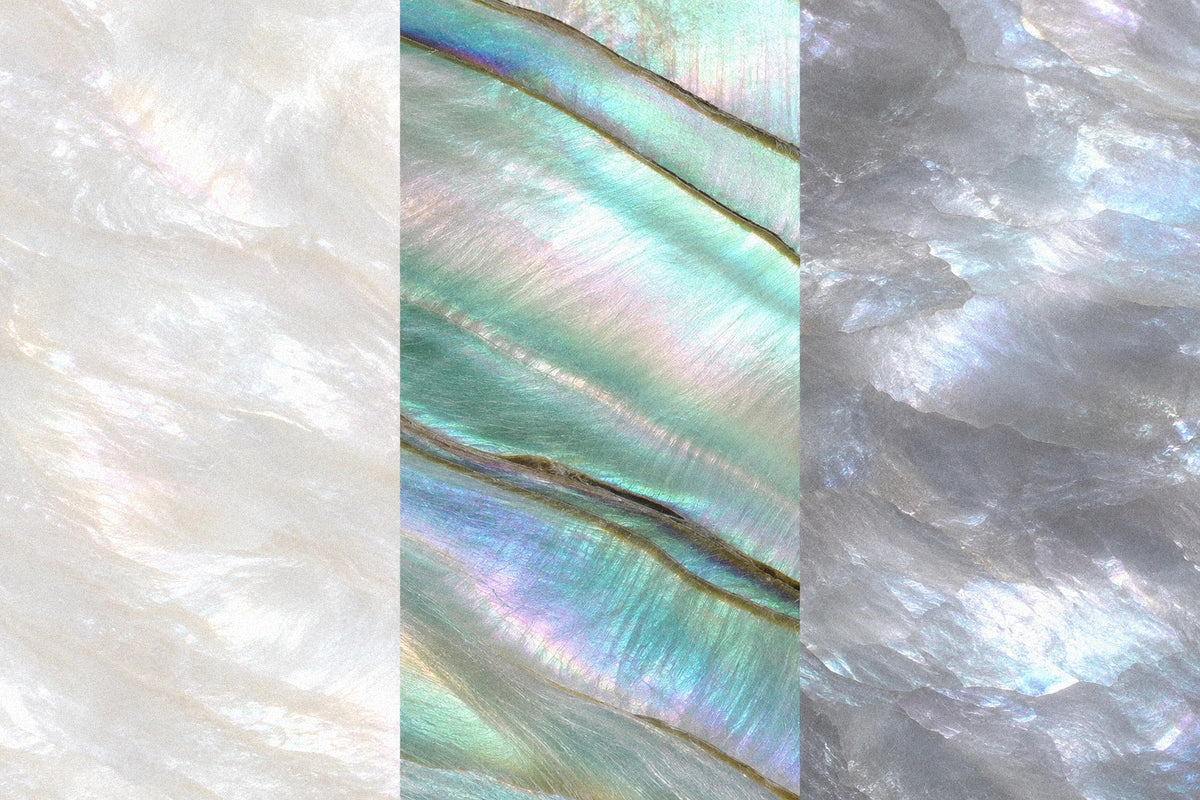 Three close-up shell texture panels in white, iridescent green-blue bands, and silvery gray.