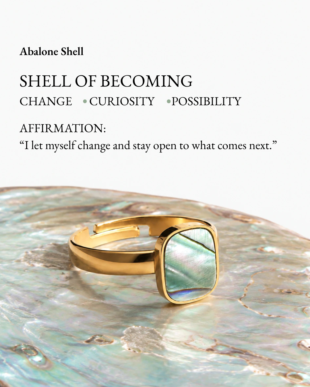 Tidal Stone Ring with square abalone shell inlay displayed on an abalone shell meaning card